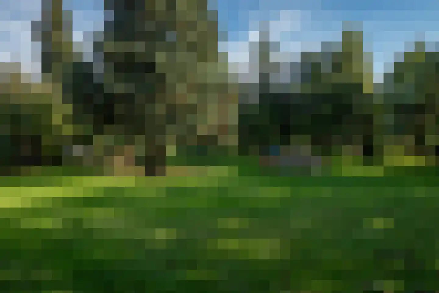 Vierschotenweg 46 't Loo Oldebroek thumbnail 59