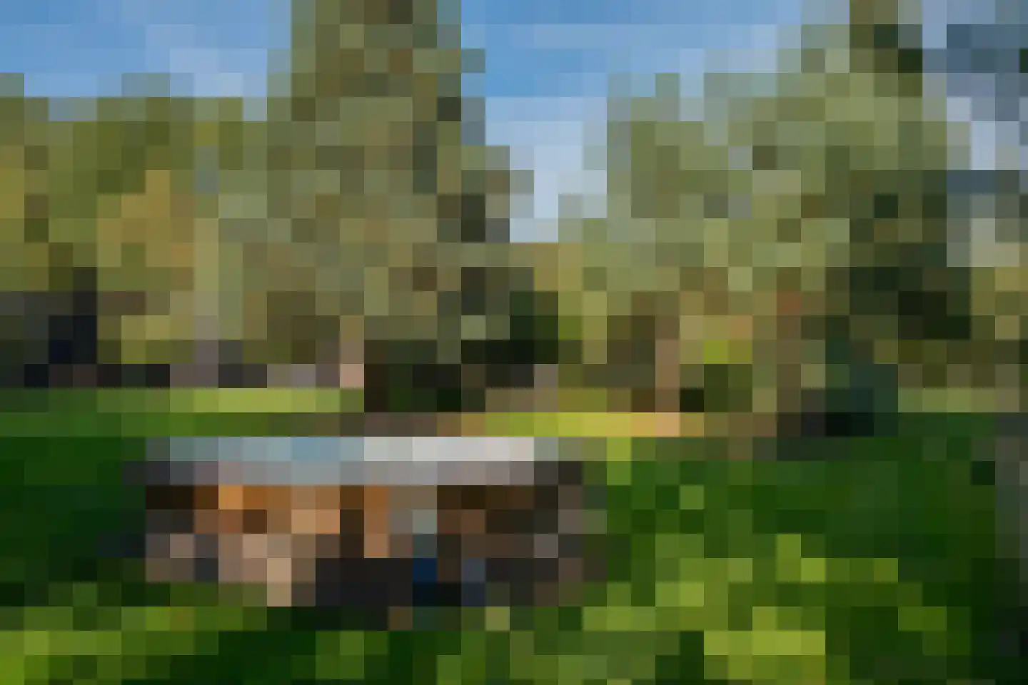 Vierschotenweg 46 't Loo Oldebroek thumbnail 60