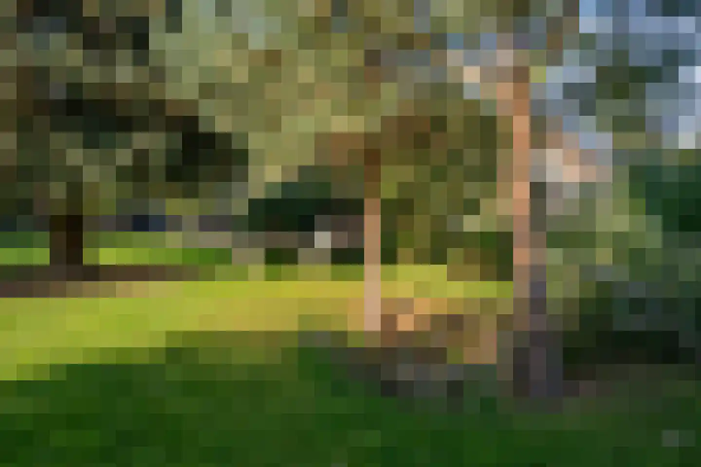 Vierschotenweg 46 't Loo Oldebroek thumbnail 61