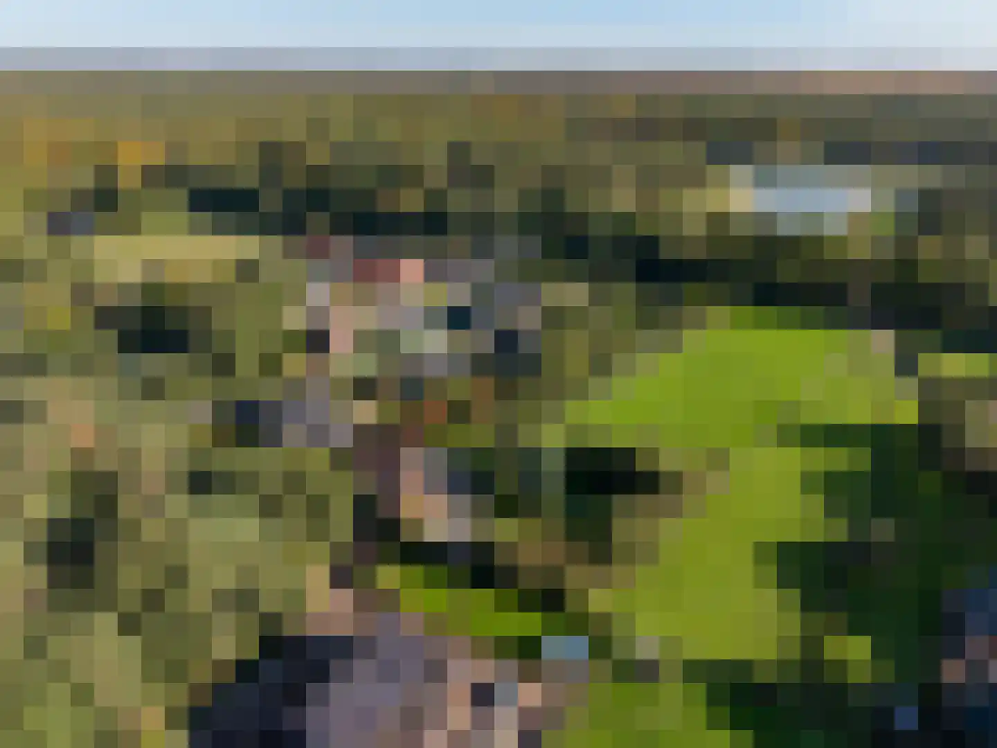 Vierschotenweg 46 't Loo Oldebroek thumbnail 69