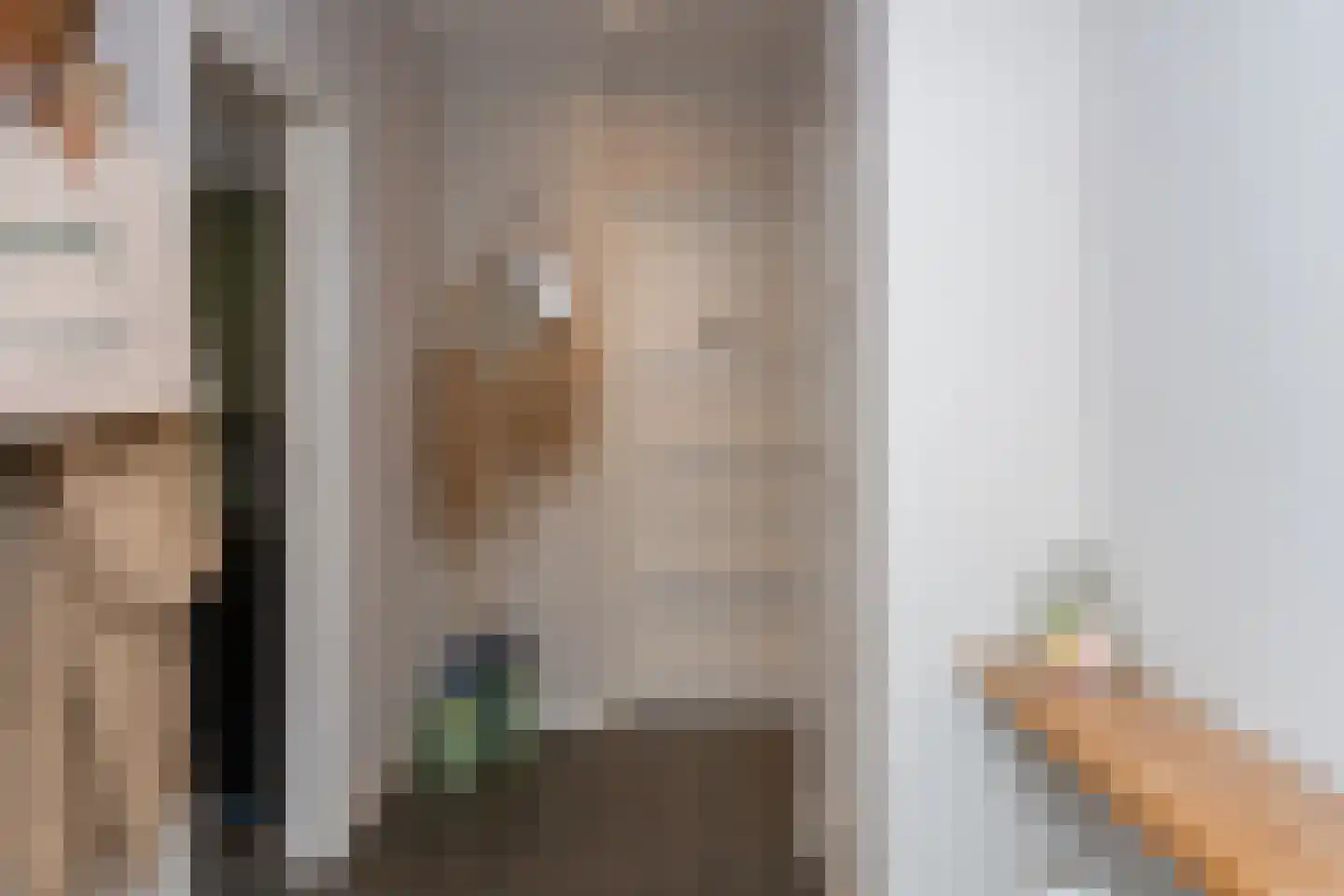 Vierschotenweg 46 't Loo Oldebroek thumbnail 7