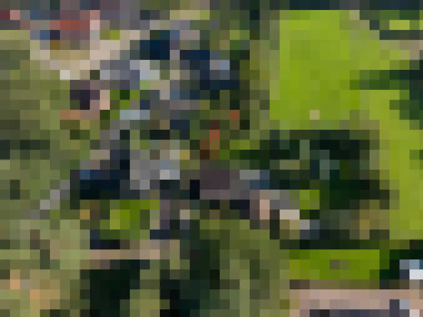Vierschotenweg 46 't Loo Oldebroek thumbnail 71