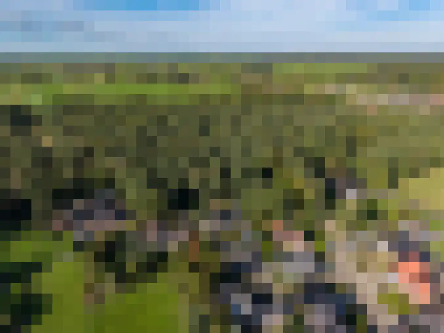 Vierschotenweg 46 't Loo Oldebroek thumbnail 72