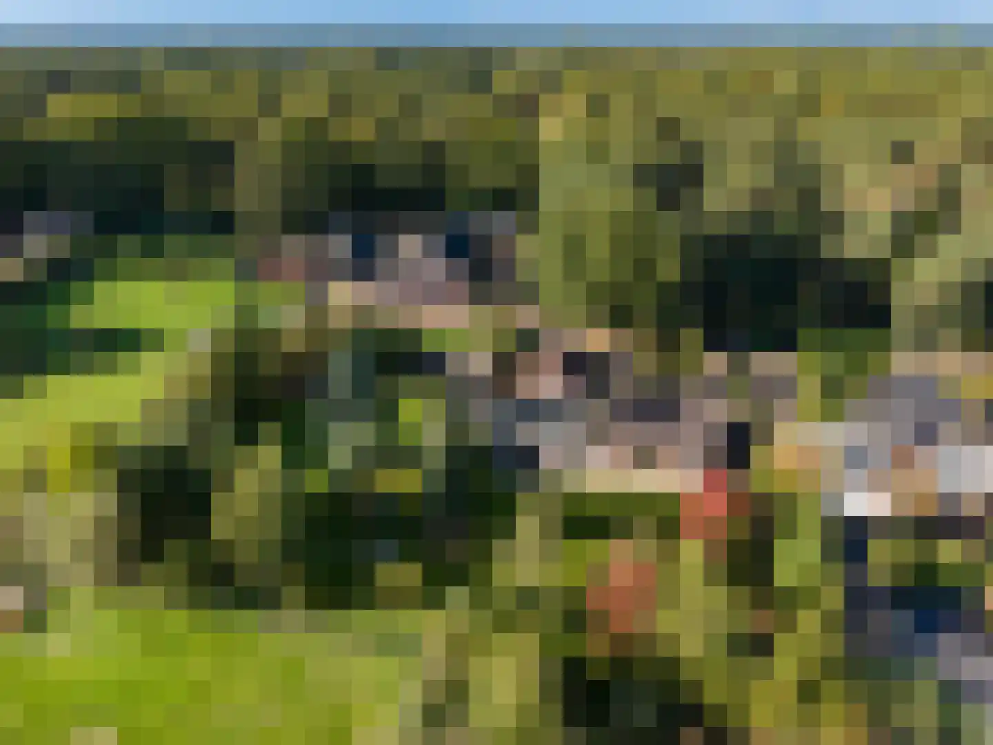 Vierschotenweg 46 't Loo Oldebroek thumbnail 73