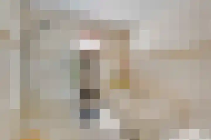 Vierschotenweg 5 't Loo Oldebroek thumbnail 11