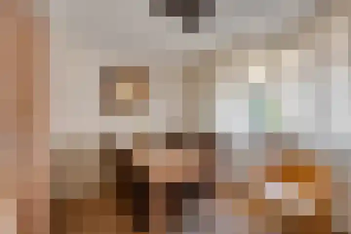 Vierschotenweg 5 't Loo Oldebroek thumbnail 13