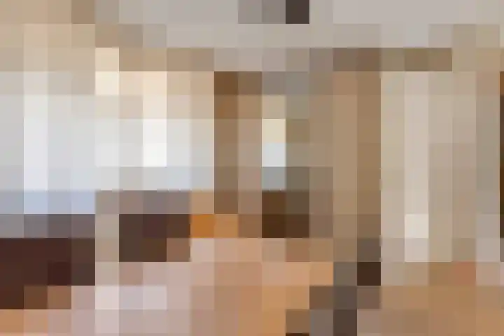 Vierschotenweg 5 't Loo Oldebroek thumbnail 14