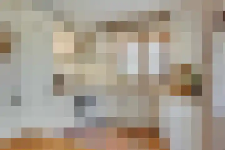 Vierschotenweg 5 't Loo Oldebroek thumbnail 16