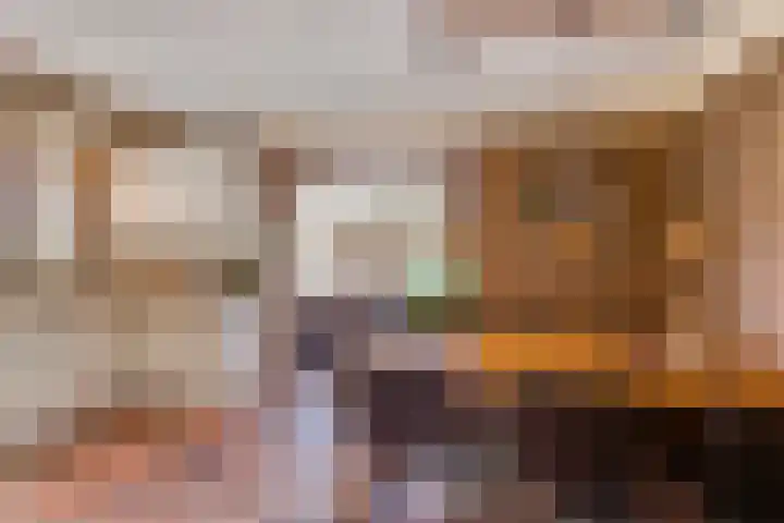 Vierschotenweg 5 't Loo Oldebroek thumbnail 17