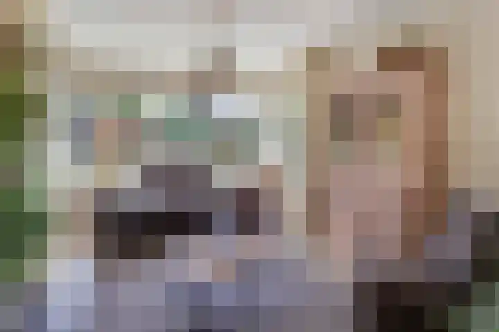 Vierschotenweg 5 't Loo Oldebroek thumbnail 20