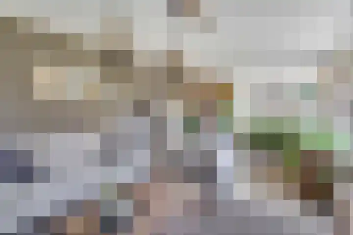Vierschotenweg 5 't Loo Oldebroek thumbnail 21
