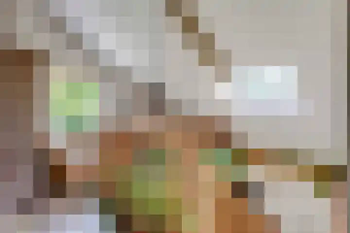 Vierschotenweg 5 't Loo Oldebroek thumbnail 23