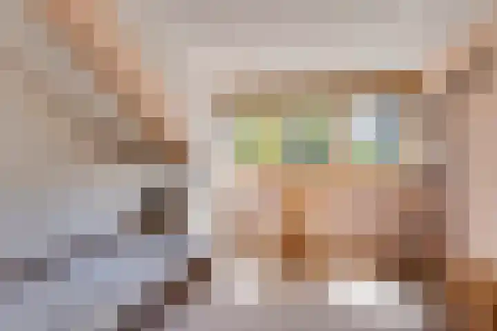 Vierschotenweg 5 't Loo Oldebroek thumbnail 27