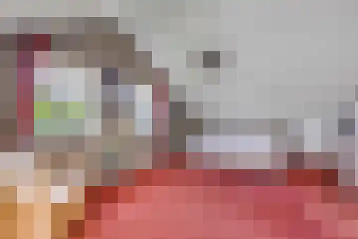 Vierschotenweg 5 't Loo Oldebroek thumbnail 28