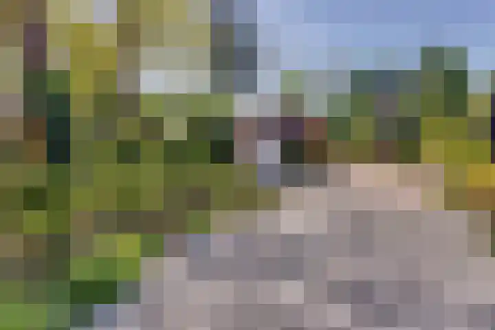 Vierschotenweg 5 't Loo Oldebroek thumbnail 31
