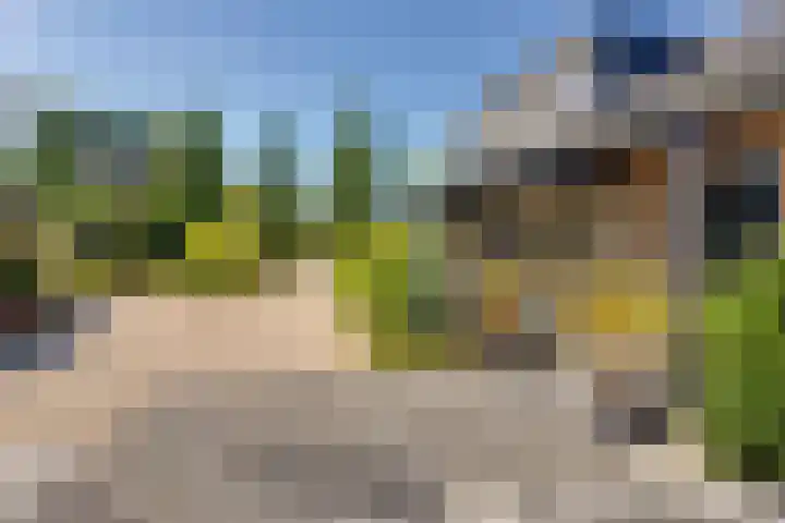 Vierschotenweg 5 't Loo Oldebroek thumbnail 32