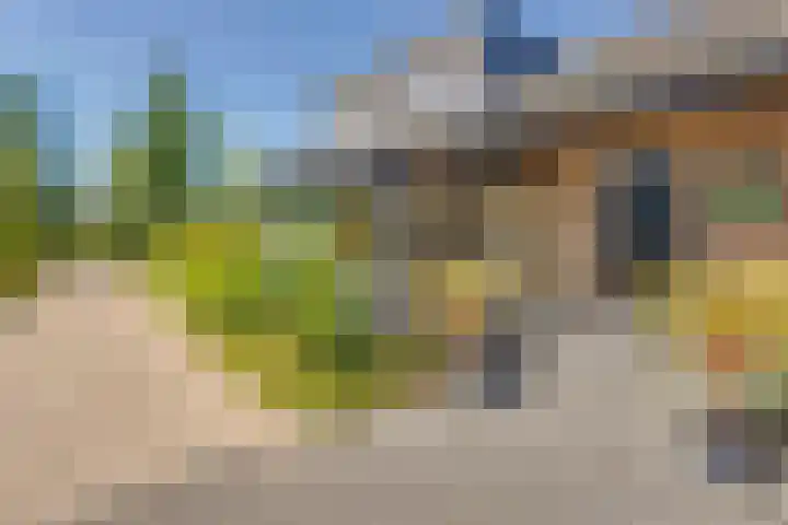 Vierschotenweg 5 't Loo Oldebroek thumbnail 33