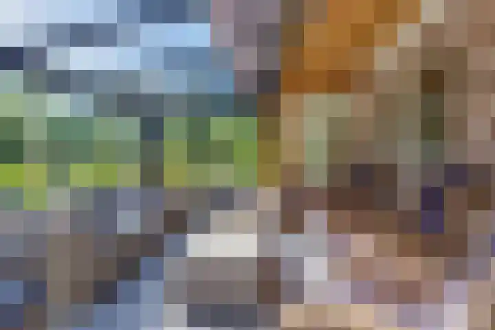 Vierschotenweg 5 't Loo Oldebroek thumbnail 34