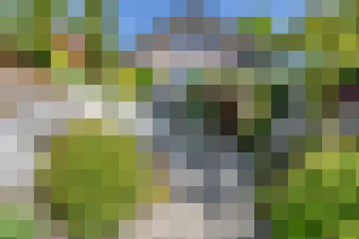 Vierschotenweg 5 't Loo Oldebroek thumbnail 35