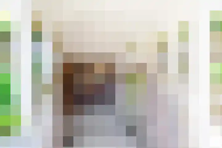Vierschotenweg 5 't Loo Oldebroek thumbnail 36