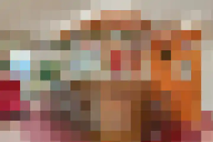 Vierschotenweg 5 't Loo Oldebroek thumbnail 38