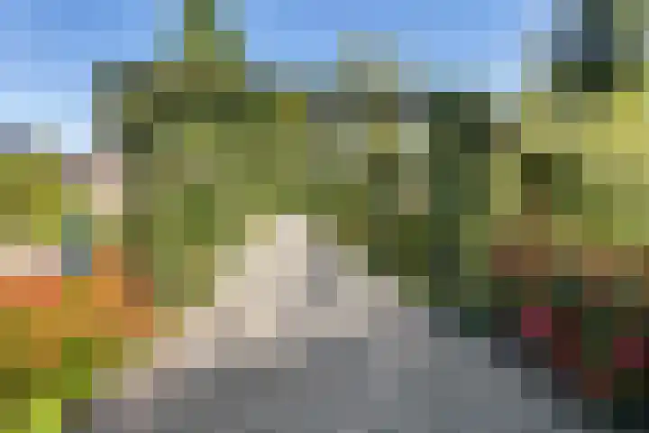Vierschotenweg 5 't Loo Oldebroek thumbnail 4