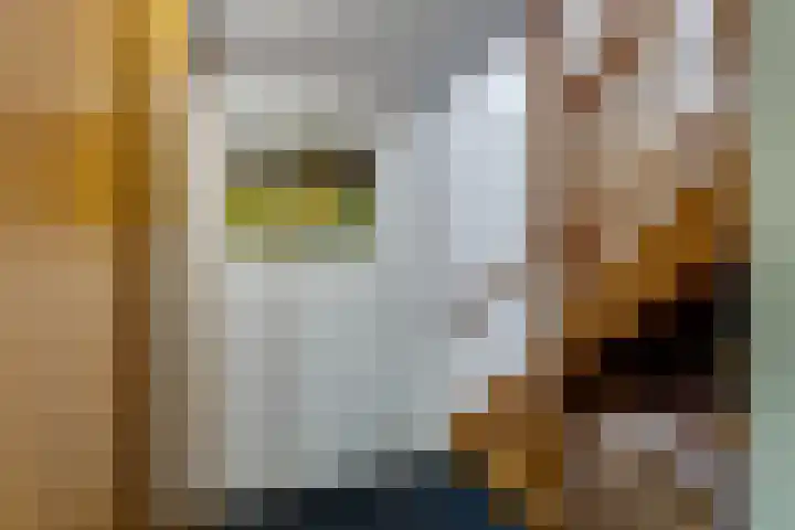 Vierschotenweg 5 't Loo Oldebroek thumbnail 42