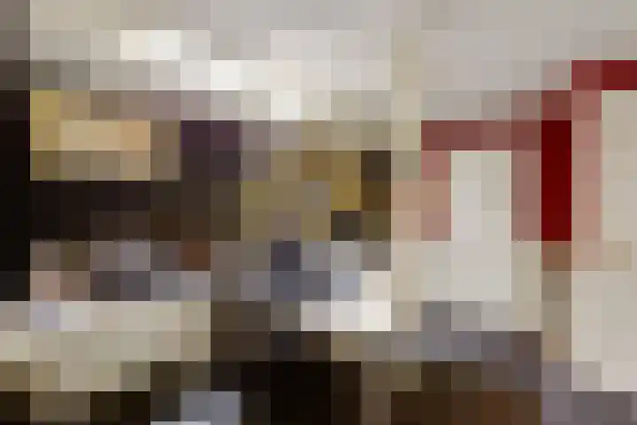 Vierschotenweg 5 't Loo Oldebroek thumbnail 43