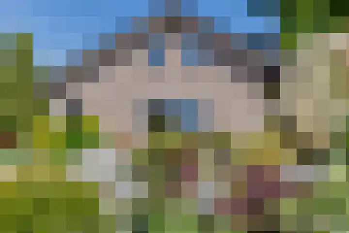 Vierschotenweg 5 't Loo Oldebroek thumbnail 47