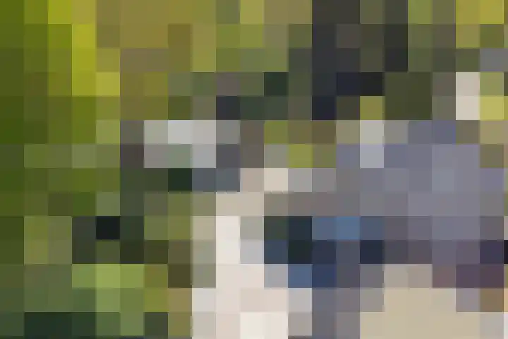 Vierschotenweg 5 't Loo Oldebroek thumbnail 48