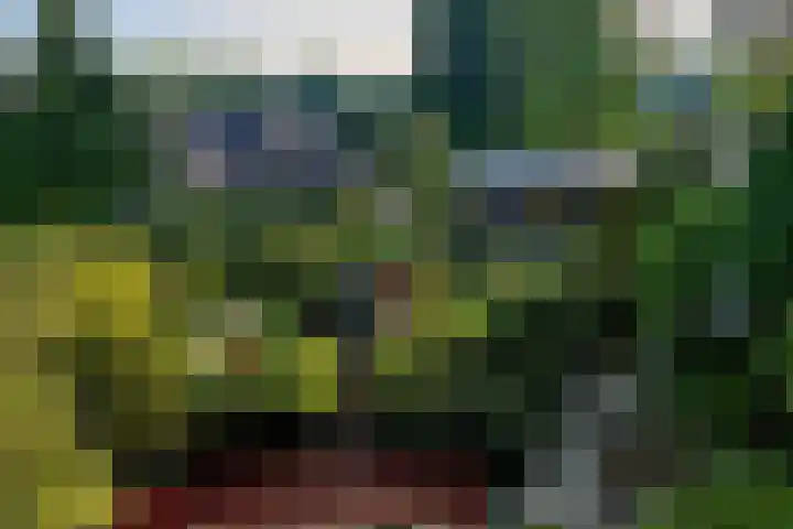 Vierschotenweg 5 't Loo Oldebroek thumbnail 49