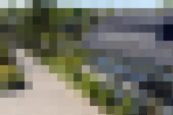 Vierschotenweg 5 't Loo Oldebroek thumbnail 5