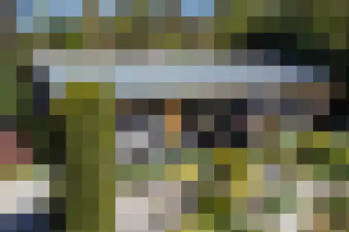 Vierschotenweg 5 't Loo Oldebroek thumbnail 51