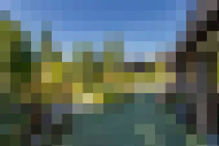 Vierschotenweg 5 't Loo Oldebroek thumbnail 57