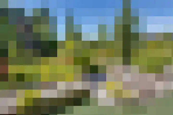Vierschotenweg 5 't Loo Oldebroek thumbnail 58