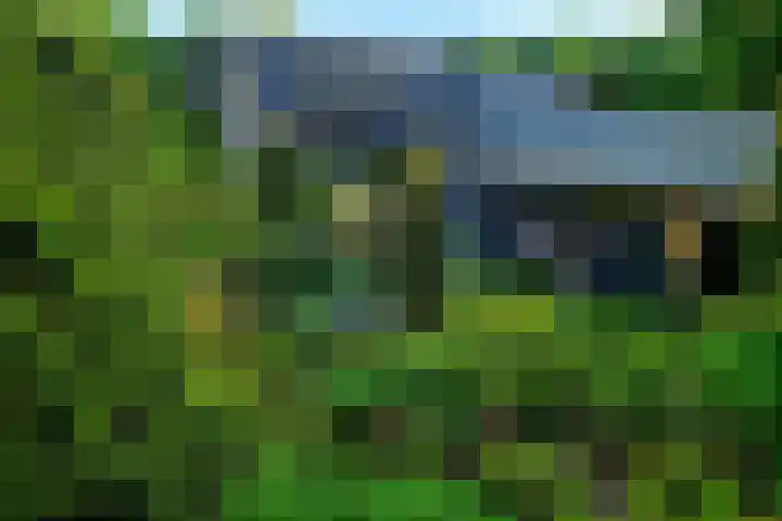 Vierschotenweg 5 't Loo Oldebroek thumbnail 59