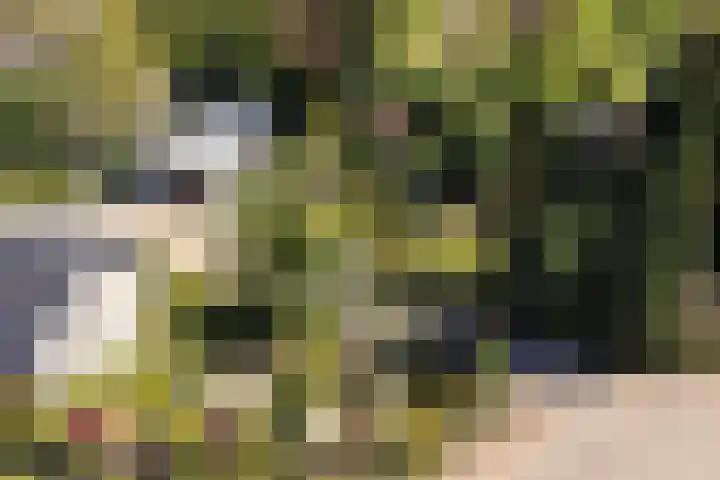 Vierschotenweg 5 't Loo Oldebroek thumbnail 60