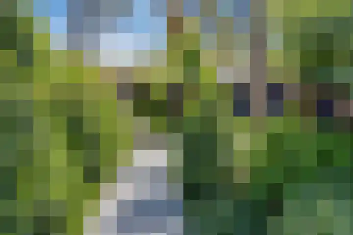 Vierschotenweg 5 't Loo Oldebroek thumbnail 61