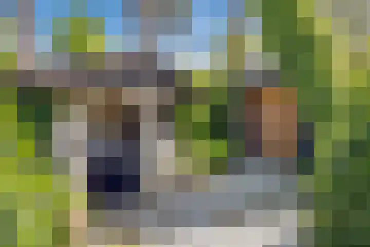 Vierschotenweg 5 't Loo Oldebroek thumbnail 62