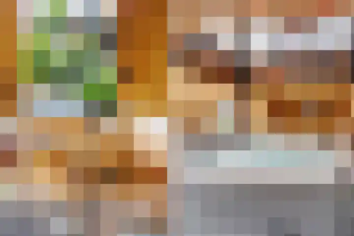 Vierschotenweg 5 't Loo Oldebroek thumbnail 63