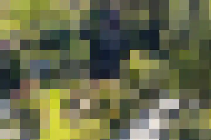 Vierschotenweg 5 't Loo Oldebroek thumbnail 65