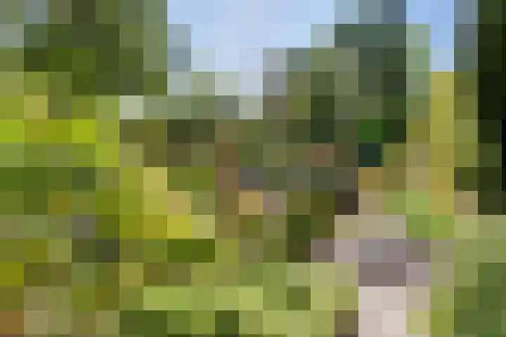 Vierschotenweg 5 't Loo Oldebroek thumbnail 66