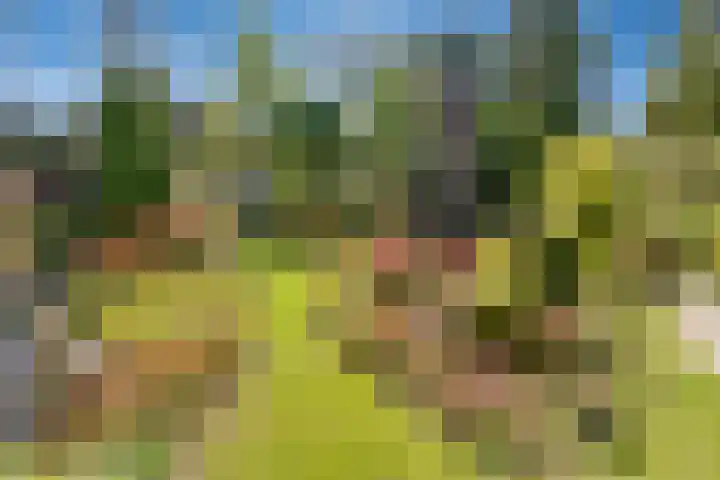 Vierschotenweg 5 't Loo Oldebroek thumbnail 67