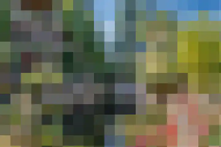 Vierschotenweg 5 't Loo Oldebroek thumbnail 68