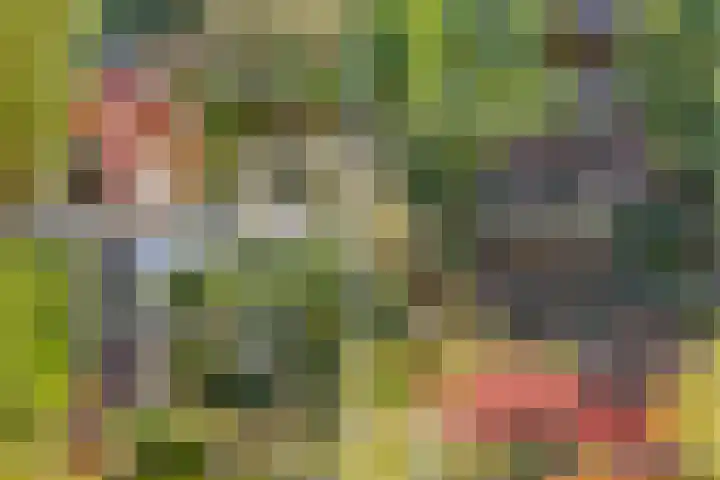 Vierschotenweg 5 't Loo Oldebroek thumbnail 69