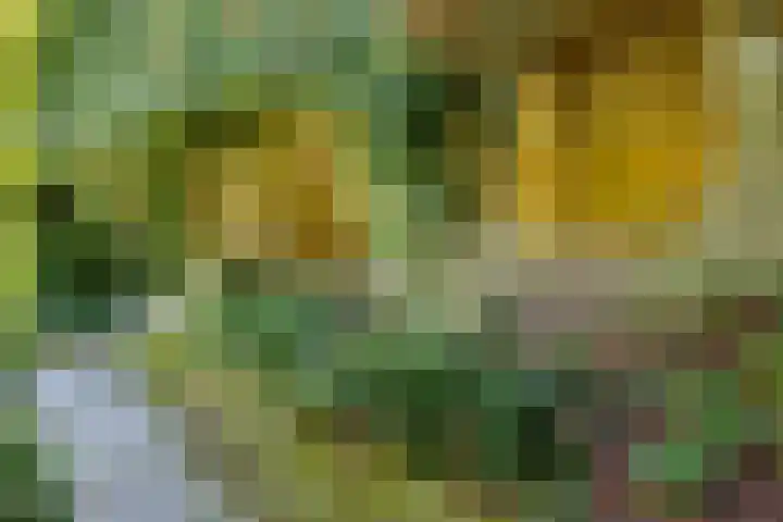 Vierschotenweg 5 't Loo Oldebroek thumbnail 70