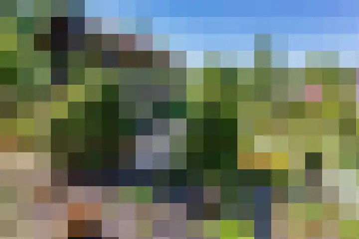 Vierschotenweg 5 't Loo Oldebroek thumbnail 71