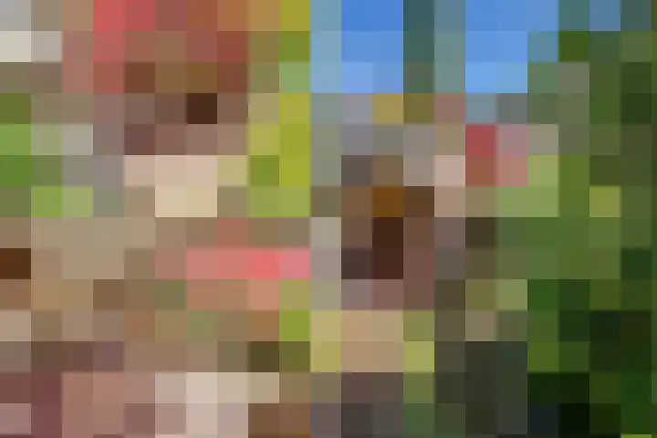 Vierschotenweg 5 't Loo Oldebroek thumbnail 72
