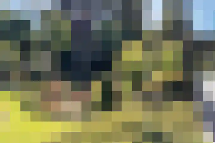 Vierschotenweg 5 't Loo Oldebroek thumbnail 73