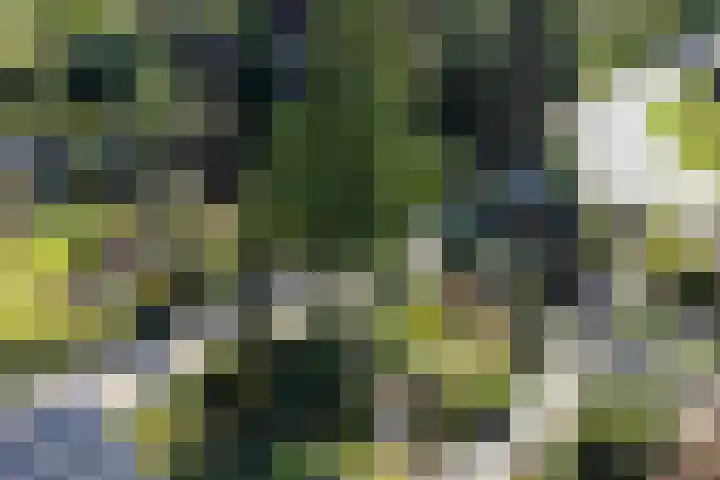 Vierschotenweg 5 't Loo Oldebroek thumbnail 75